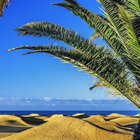 Adelfas South 1 By Canariasgetaway Vakantiehuis San Agustín